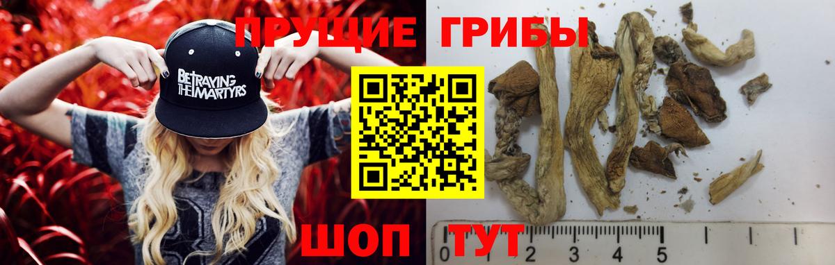 Галлюциногенные грибы Magic Shrooms  Вход с VPN  что такое наркотик  Москва 